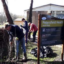 New hedge planted at Heath Road Car-park